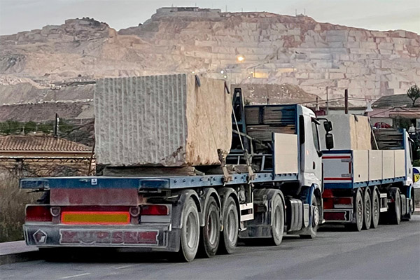 Servicios Profesionales de Transporte